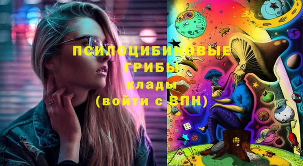 apvp Бородино