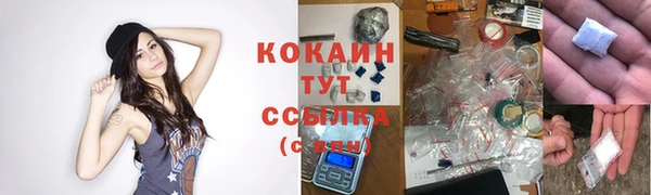 apvp Бородино