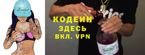 apvp Бородино