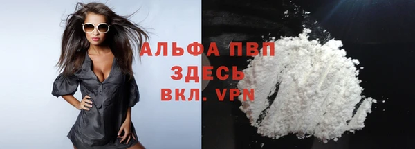 apvp Бородино
