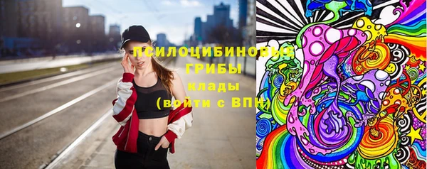 ПСИЛОЦИБИНОВЫЕ ГРИБЫ Бронницы
