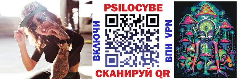 Галлюциногенные грибы Psilocybine cubensis hydra tor Новохопёрск